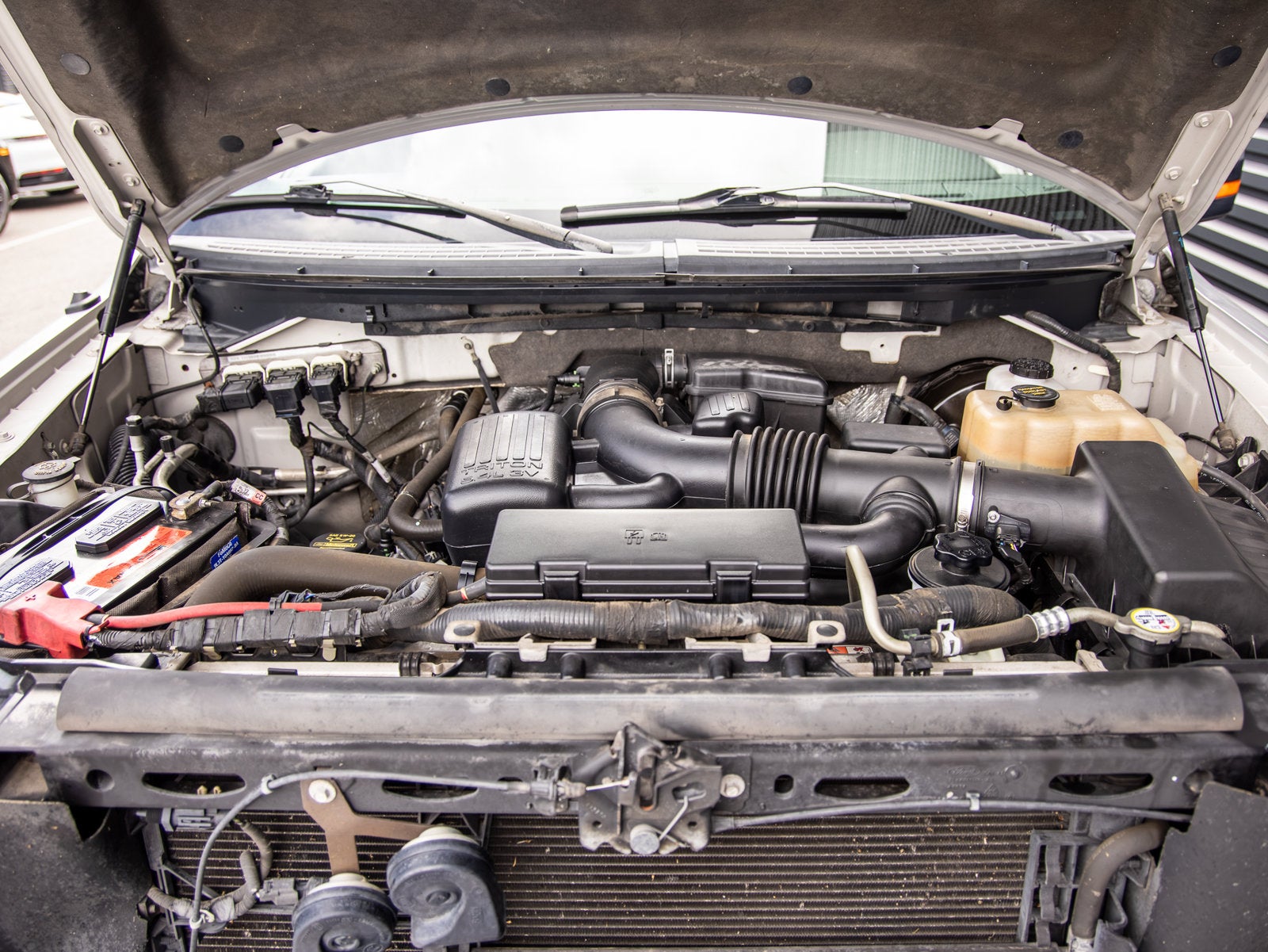 2010 Ford F-150 XL