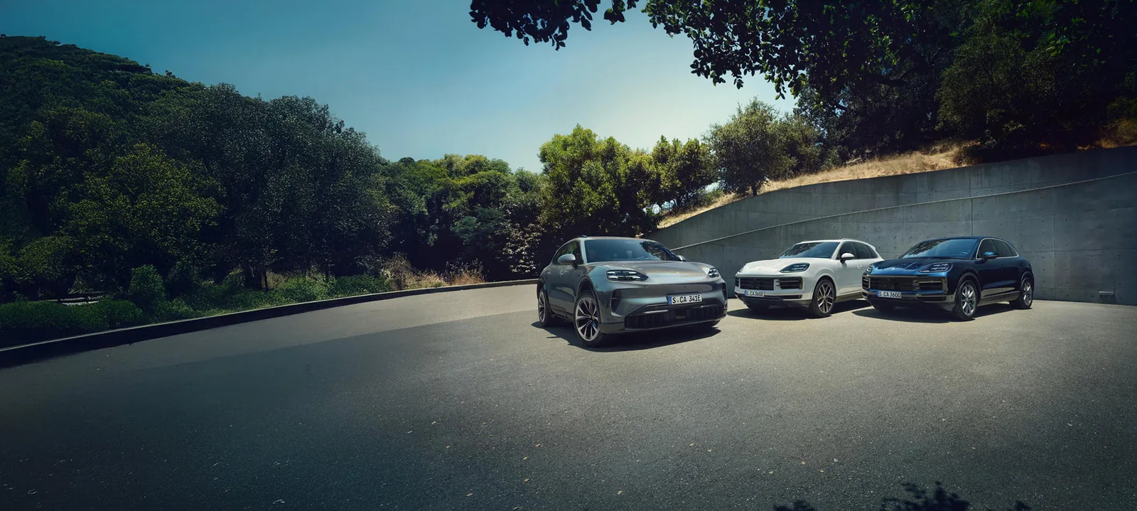 Three Porsche Cayenne vehicles parked on a wooded road